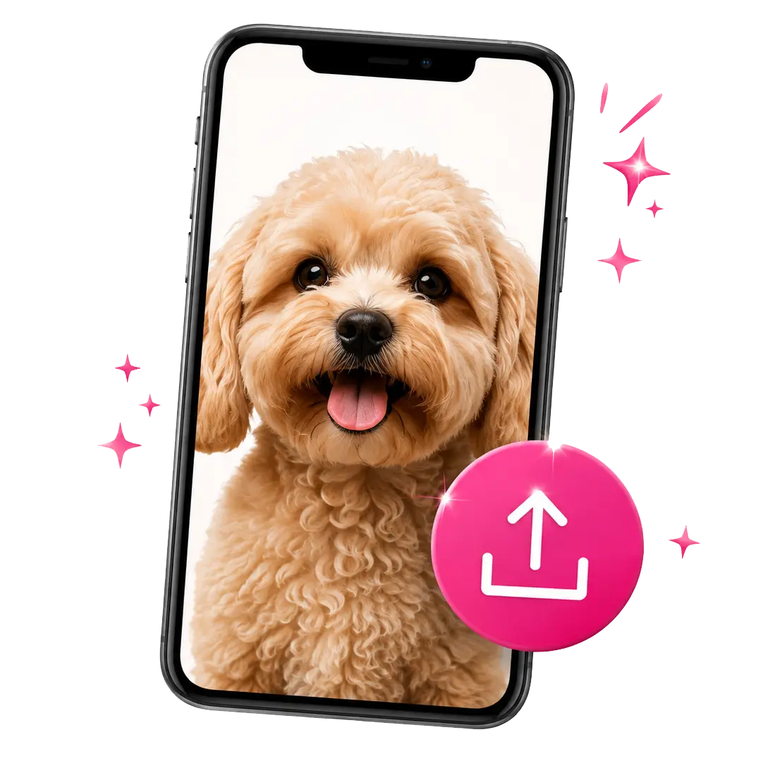 Upload your photos