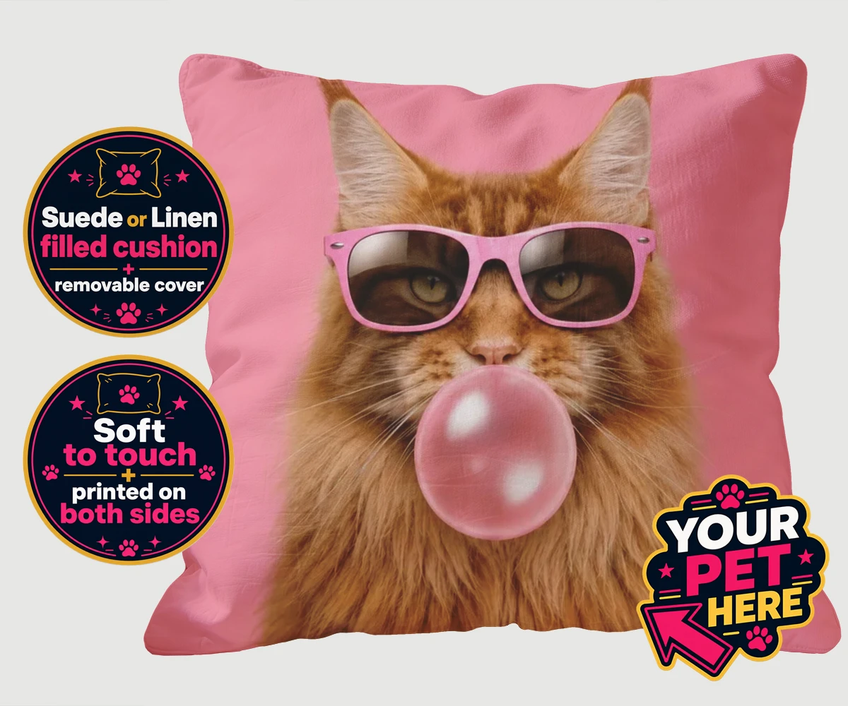 Personalised Paw & Bubblegum cat cushions featuring the perfect fusion of fun and feline fabulousness!