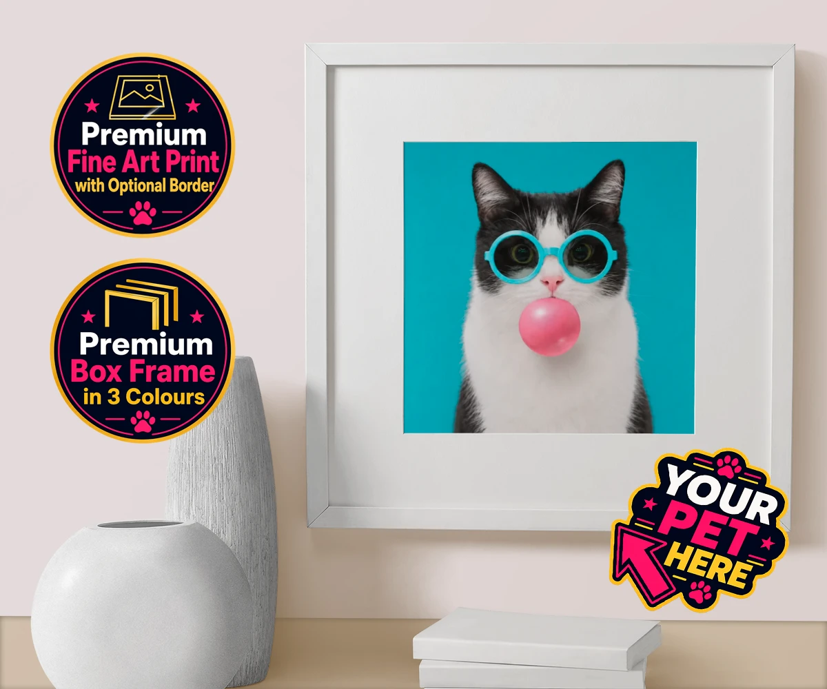 Personalised Bubblegum Paw Star cat box framed print featuring meet Bubblegum Paw Star, the whimsical cat character who brings a spla