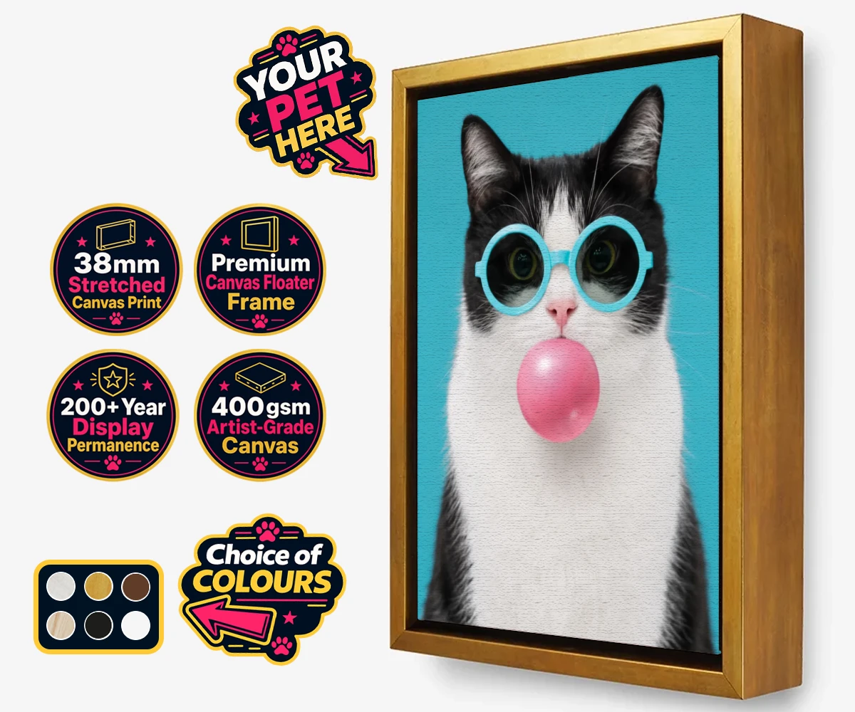 Personalised Bubblegum Paw Star cat framed canvas print featuring meet Bubblegum Paw Star, the whimsical cat character who brings a spla