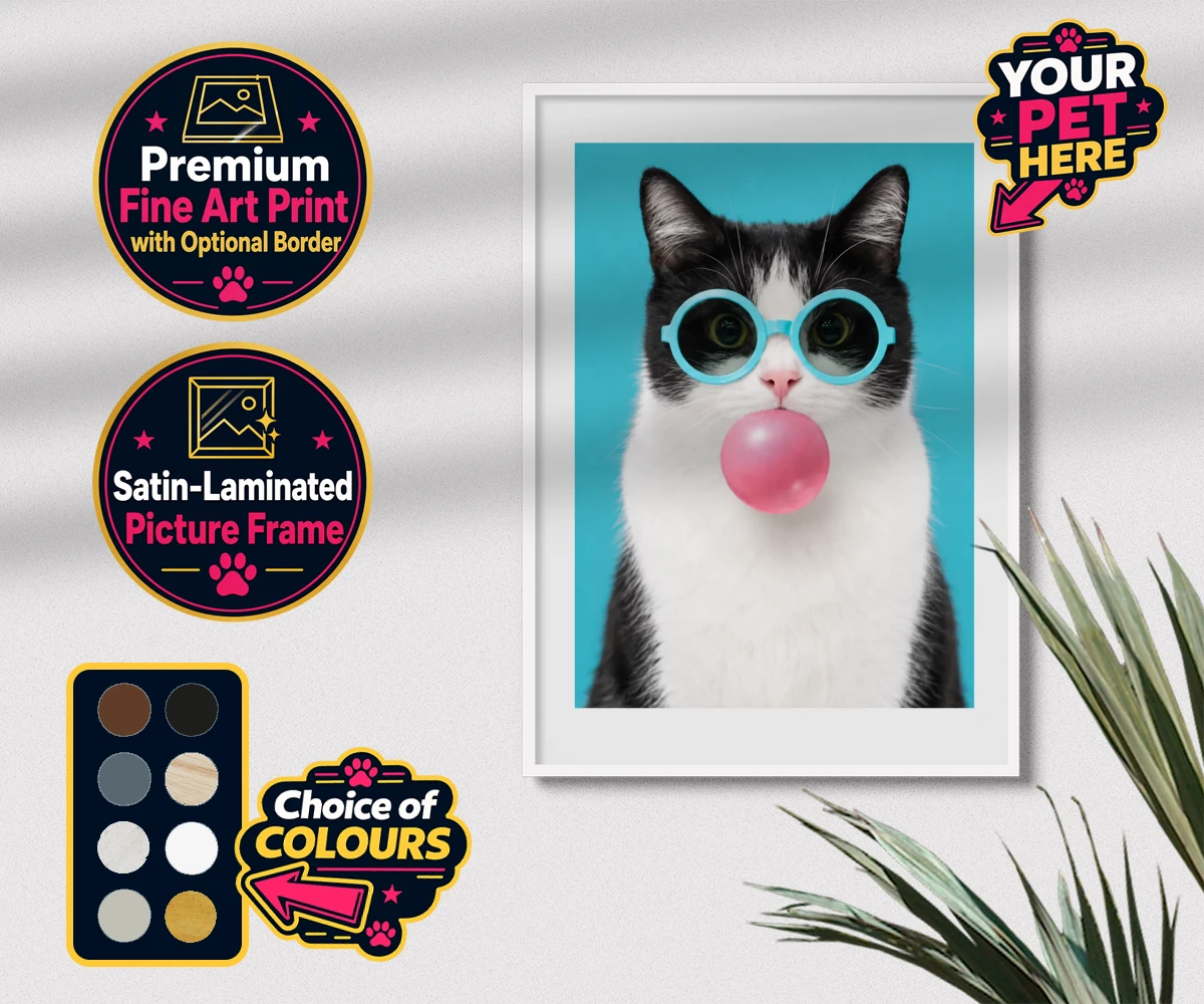 Personalised Bubblegum Paw Star cat premium framed print featuring meet Bubblegum Paw Star, the whimsical cat character who brings a spla