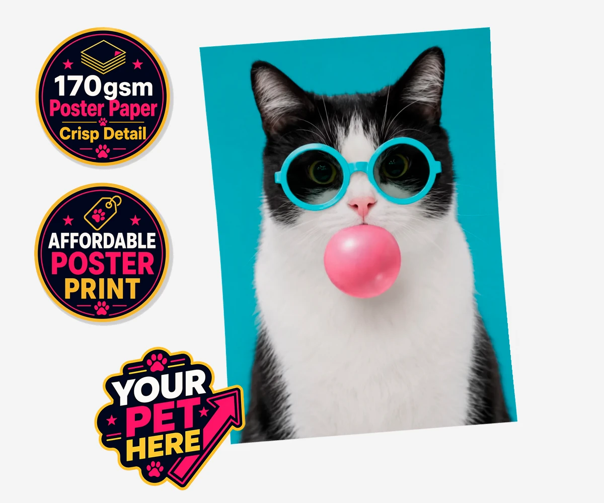 Personalised Bubblegum Paw Star cat standard poster print featuring meet Bubblegum Paw Star, the whimsical cat character who brings a spla