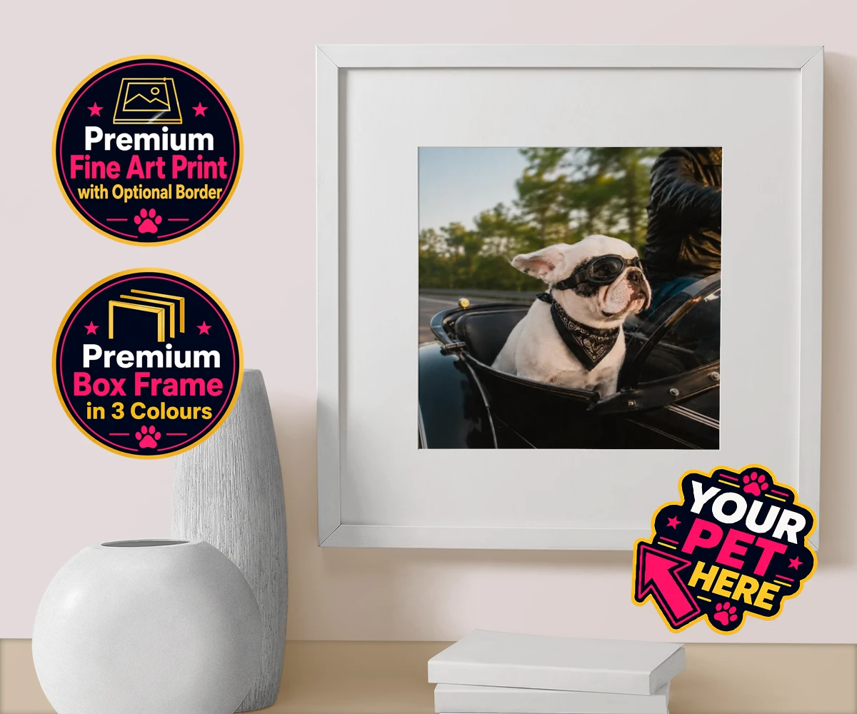 Personalised Sidecar Paw dog box framed print featuring the whimsical canine companion that's ready to hit the open road with