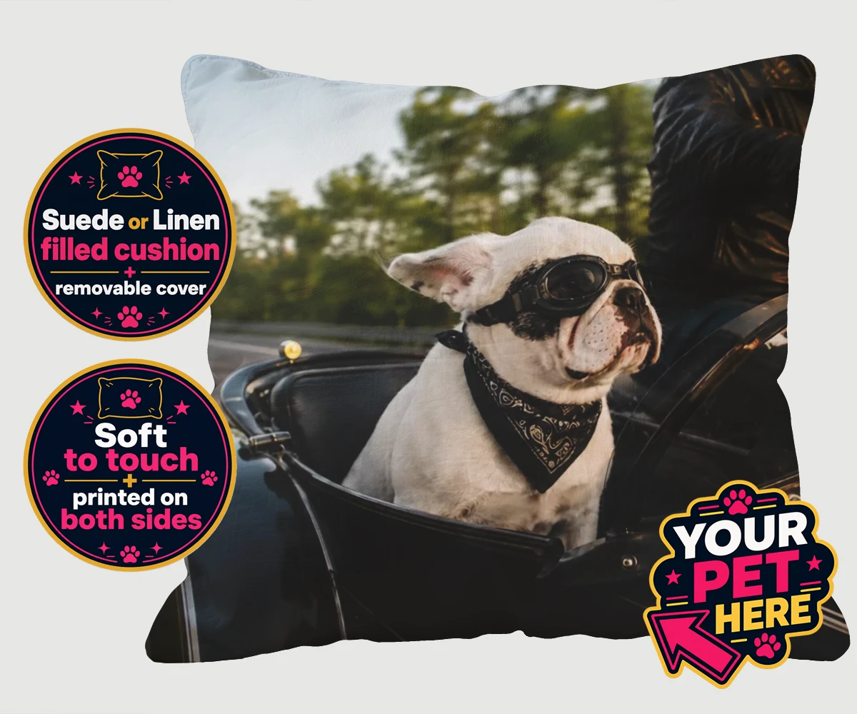 Personalised Sidecar Paw dog cushions featuring the whimsical canine companion that's ready to hit the open road with