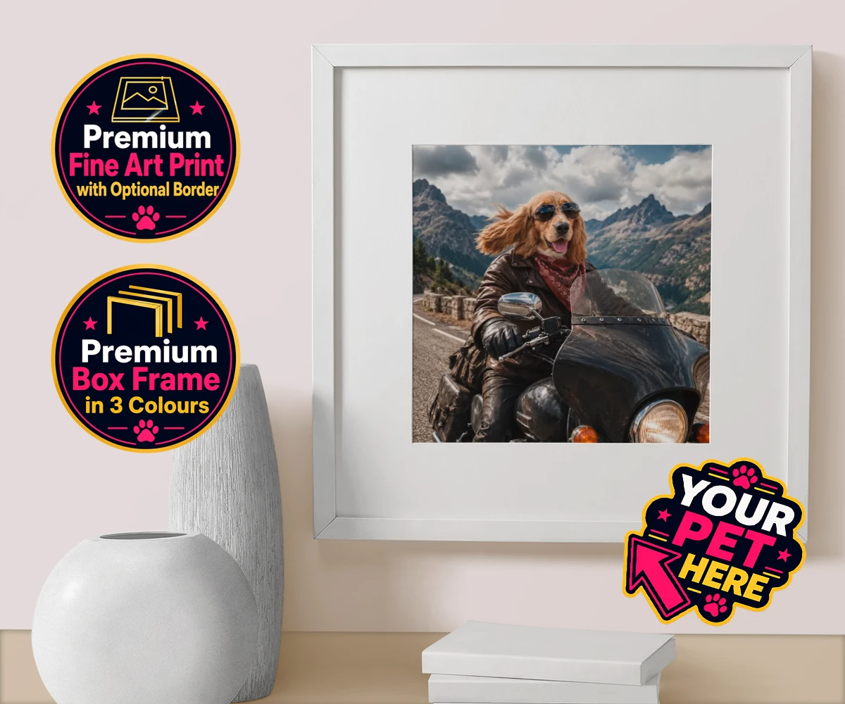 Personalised Paw Rider dog box framed print featuring meet Paw Rider, the ultimate pooch who knows how to cruise in style!