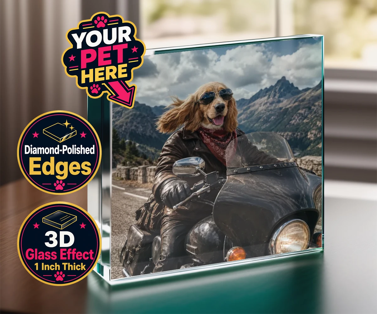 Personalised Paw Rider dog acrylic prisms featuring meet Paw Rider, the ultimate pooch who knows how to cruise in style!