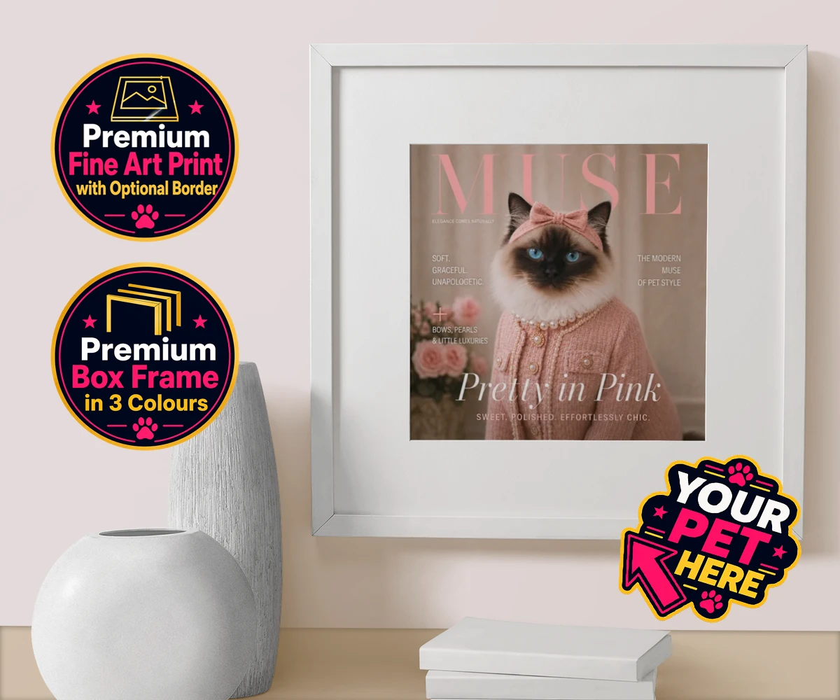 Personalised Muse Magazine cat box framed print featuring the epitome of feline grace and elegance