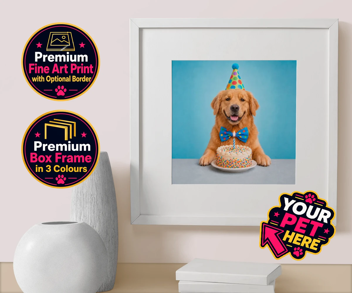 Personalised Birthday Boy dog box framed print featuring the embodiment of joy and celebration for any dog lover!