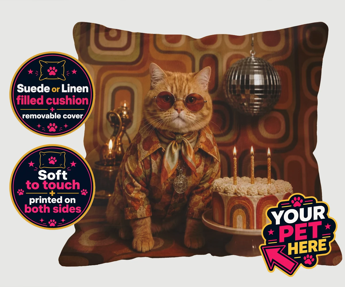 Personalised cushion featuring Boogie Cat, a cat wearing oversized sunglasses and a patterned shirt with a birthday cake background.