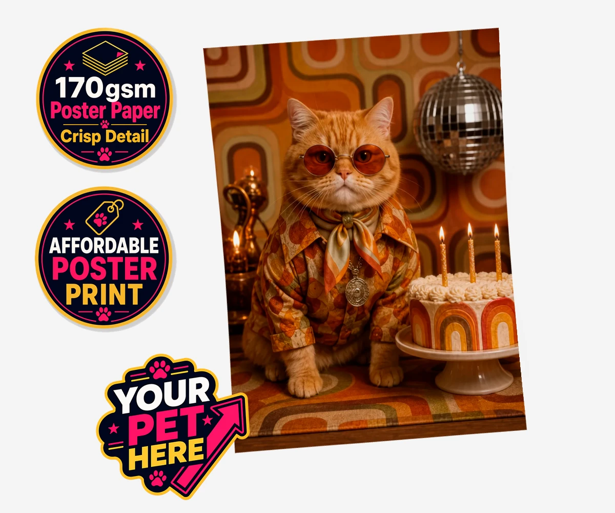 Personalised Boogie Cat cat standard poster print featuring meet Boogie Cat, a whimsical embodiment of feline flair and flair for
