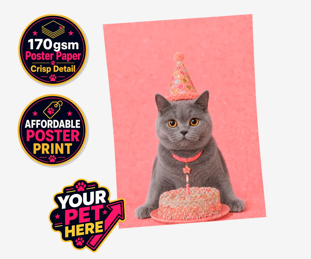 Personalised Birthday Girl cat standard poster print featuring celebrate your feline friend’s special day with our delightful “Birthd