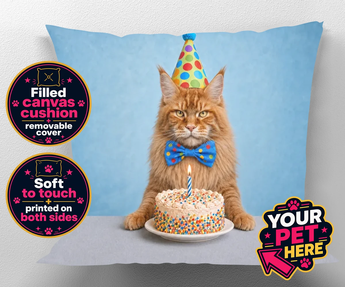 Personalised Birthday Boy cat canvas cushion with a cat in a party hat and a cake