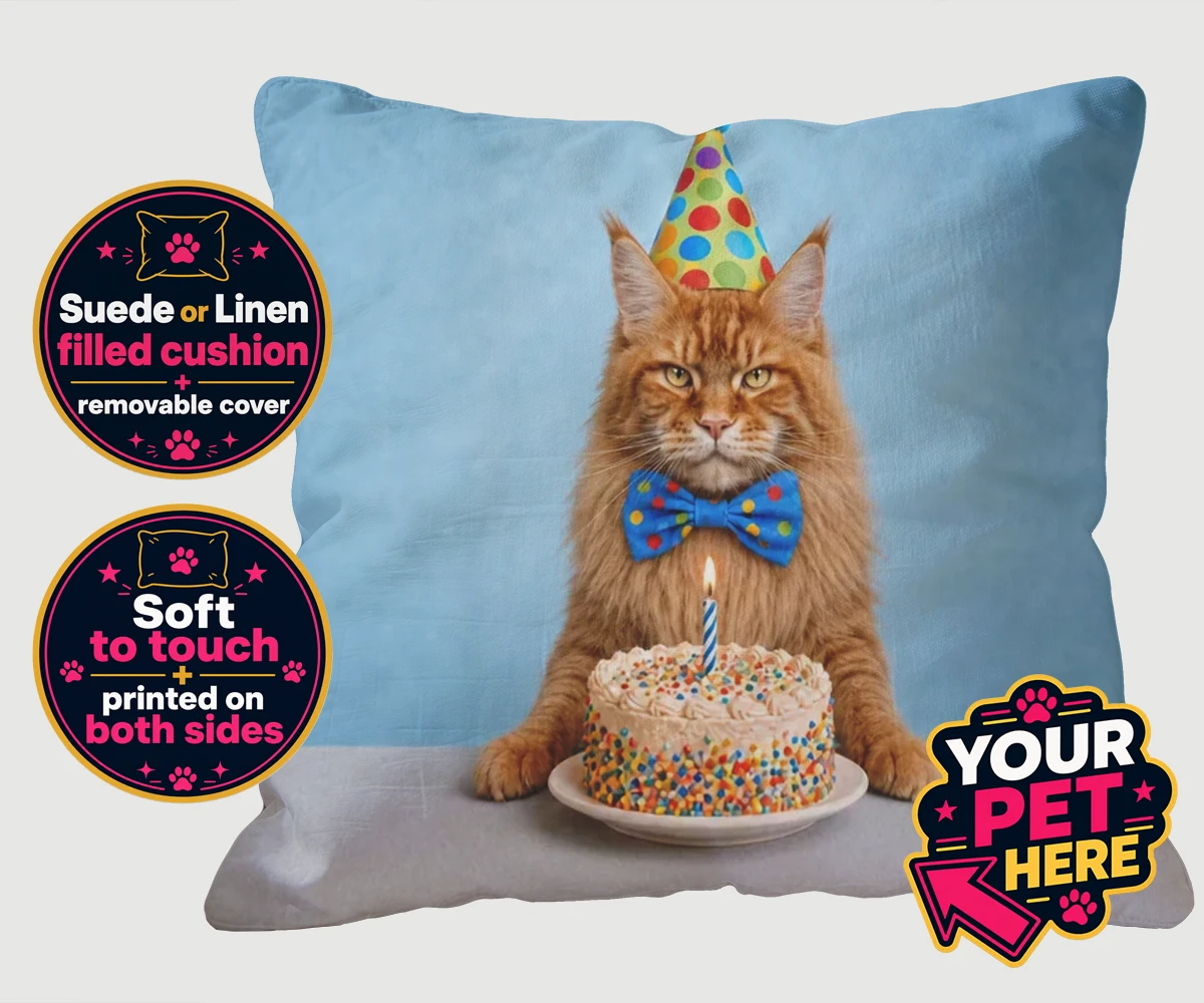 Personalised cushion featuring Birthday Boy cat with polka-dot party hat and bow tie beside a cake with sprinkles