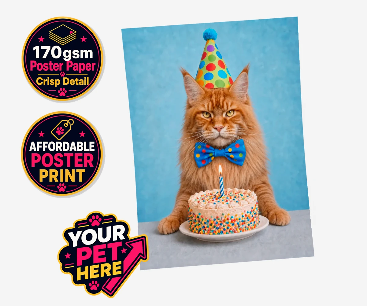 Personalised Birthday Boy cat standard poster print featuring meet our delightful Birthday Boy, the purr-fect addition to any cat lo