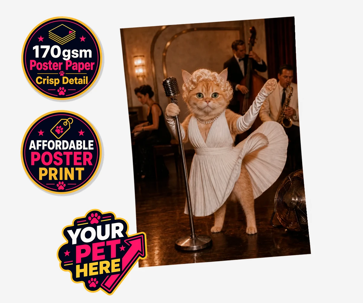 Personalised The Hollywood Blonde cat standard poster print featuring step into the glitz and glamour of old Hollywood with "The Hollywood B