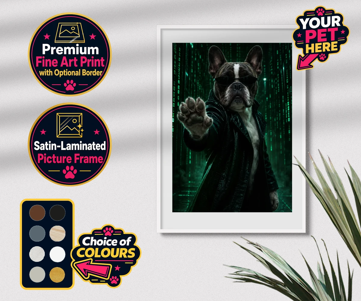 The Pawtrix personalised premium framed print featuring a dog in a black coat and sunglasses against a mystical background