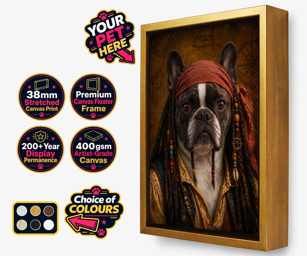 Personalised The Pawrate dog framed canvas print featuring meet The Pawrate, a delightful canine pirate ready to embark on high-s