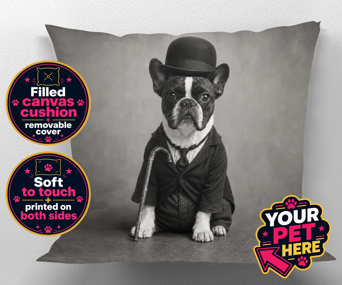 Personalised The Funny Chap dog canvas cushions featuring meet The Funny Chap, a charming canine character that brings a sprinkl
