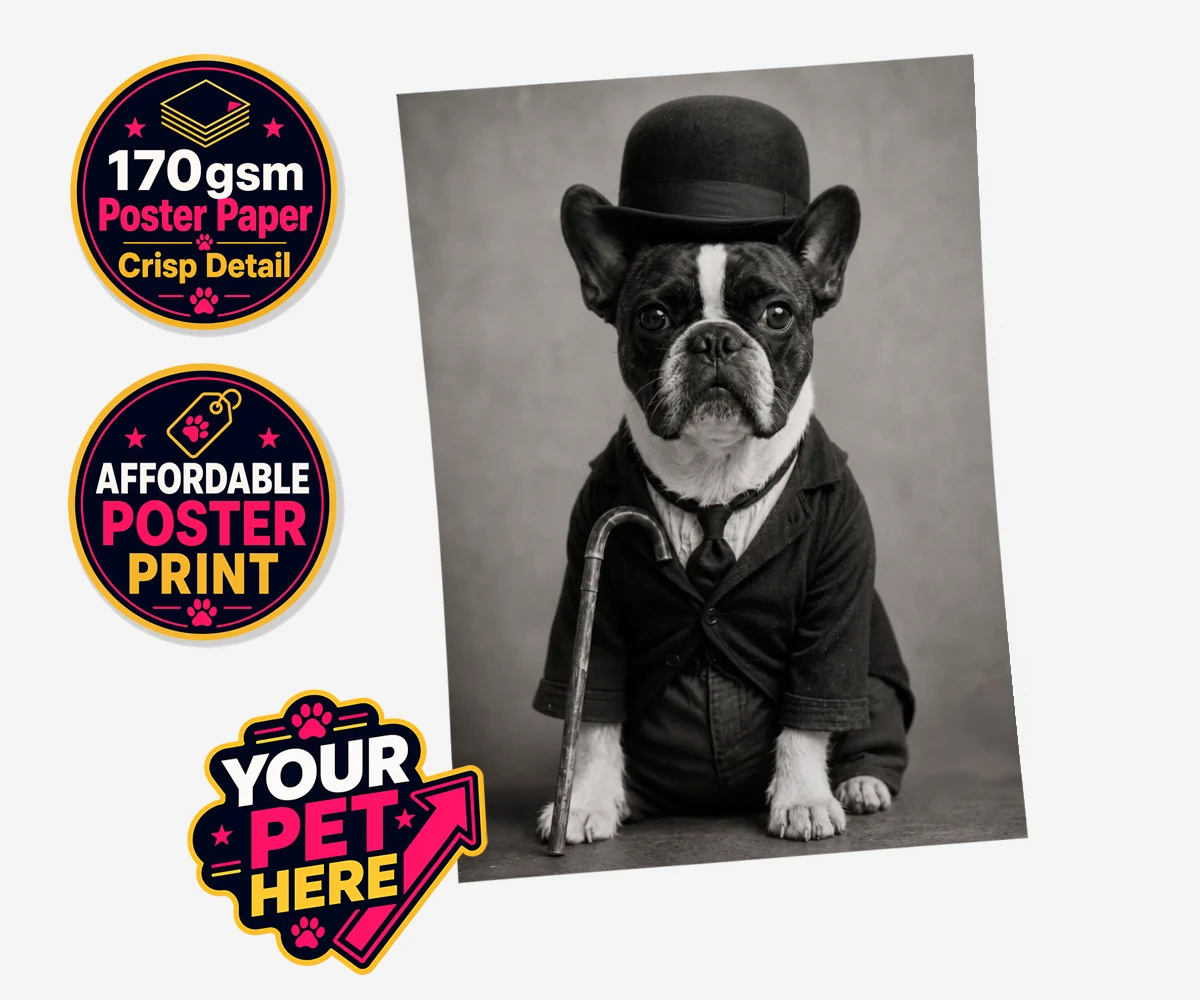 Personalised The Funny Chap dog standard poster print featuring meet The Funny Chap, a charming canine character that brings a sprinkl