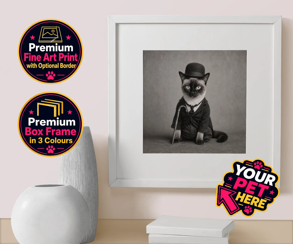 Personalised The Funny Chap cat box framed print featuring meet The Funny Chap, a delightfully whimsical feline portrait that cap