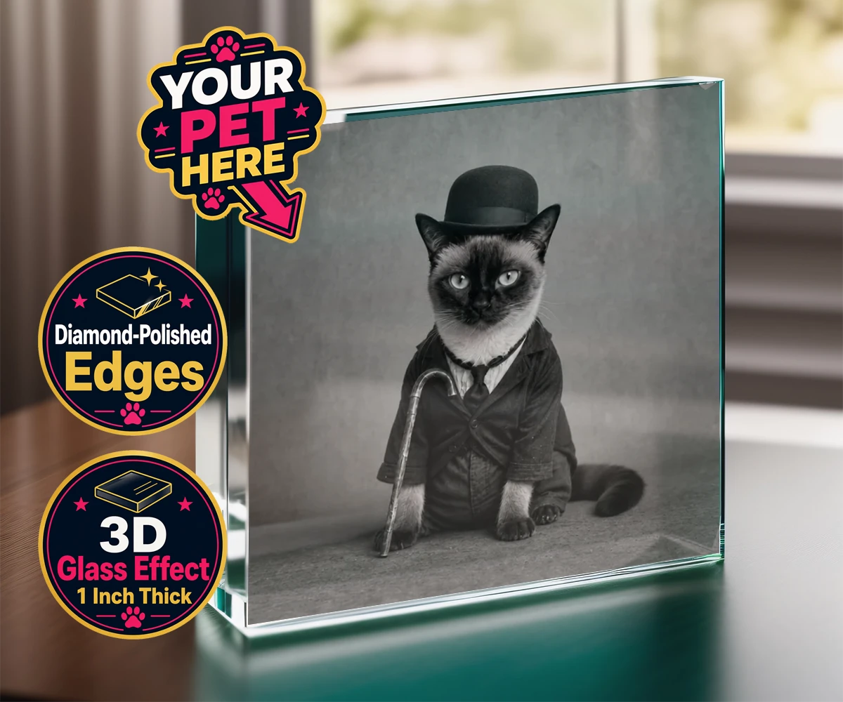 Personalised The Funny Chap cat acrylic prisms featuring meet The Funny Chap, a delightfully whimsical feline portrait that cap