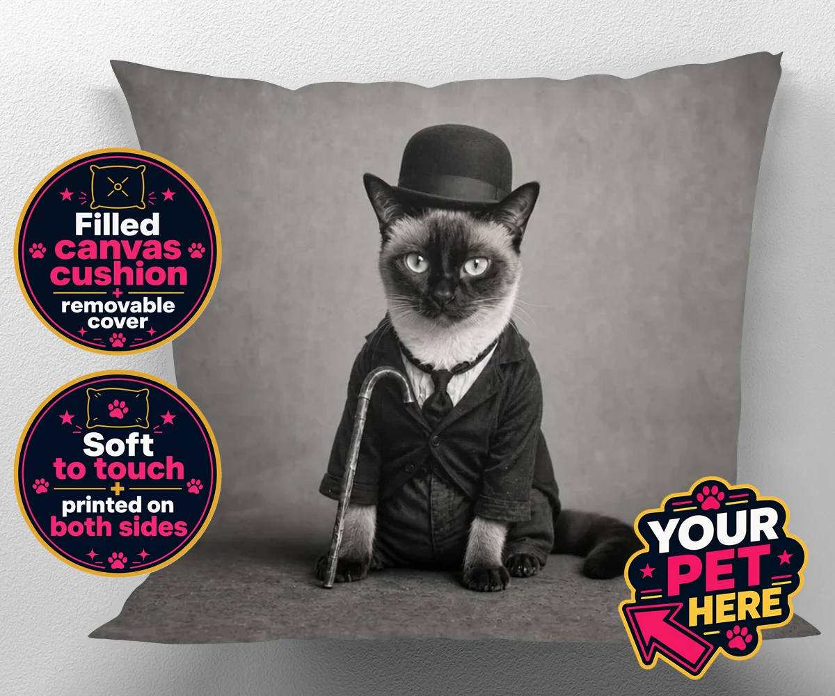 Personalised The Funny Chap cat canvas cushions featuring meet The Funny Chap, a delightfully whimsical feline portrait that cap