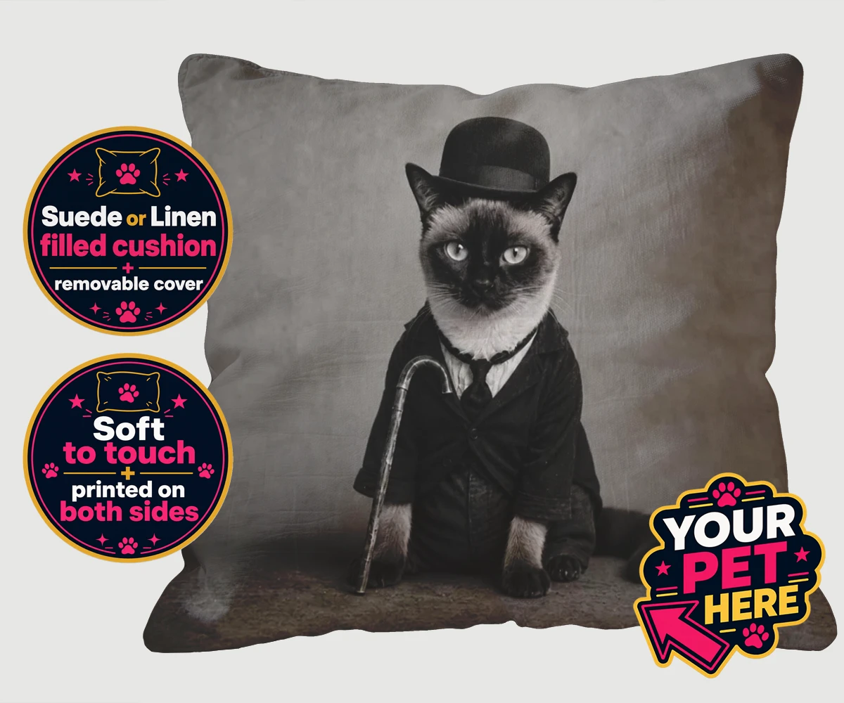 Personalised The Funny Chap cat cushions featuring meet The Funny Chap, a delightfully whimsical feline portrait that cap