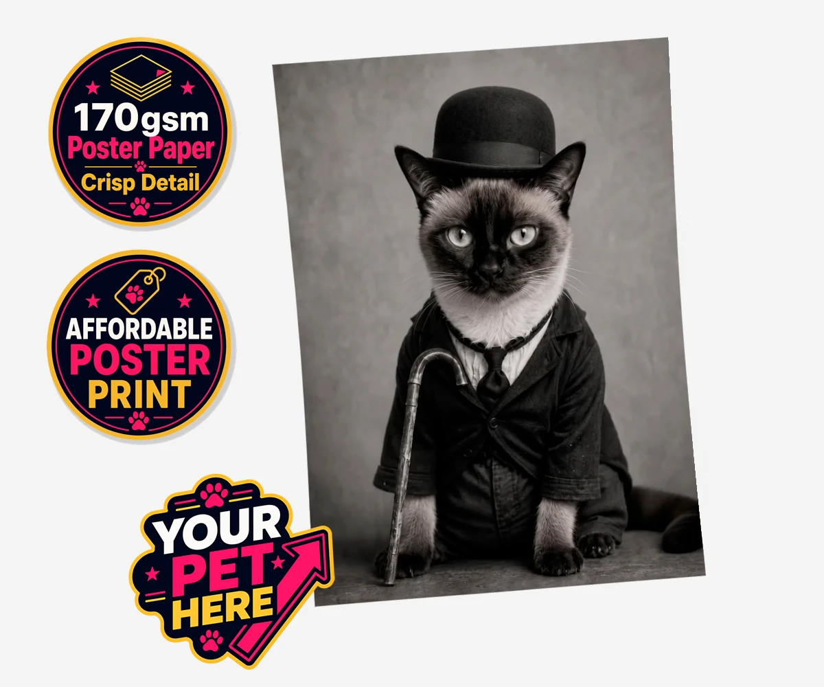 Personalised The Funny Chap cat standard poster print featuring meet The Funny Chap, a delightfully whimsical feline portrait that cap