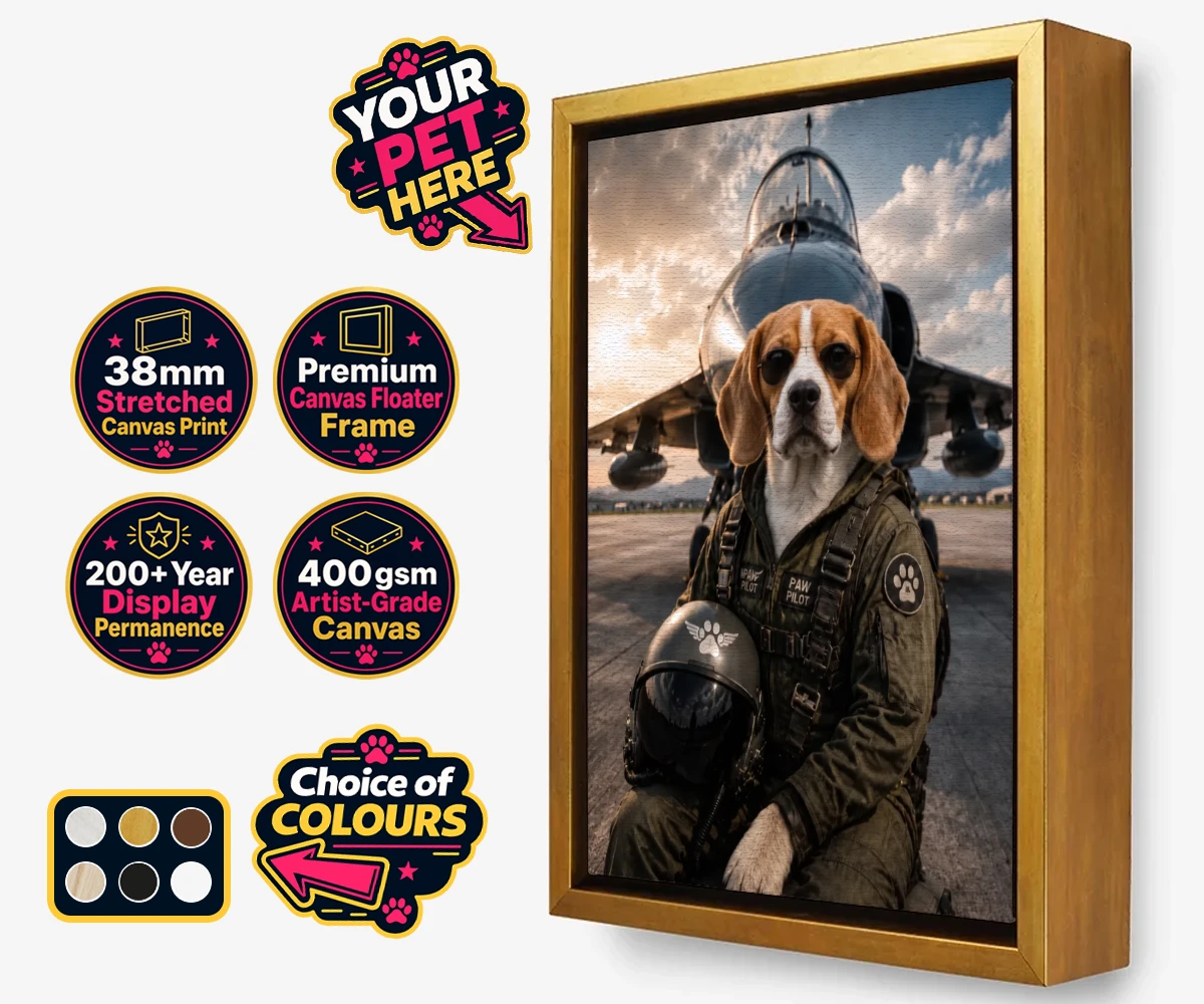 Personalised Sky Paw Captain dog framed canvas print featuring meet Sky Paw Captain, the adventurous pup ready to take flight in the