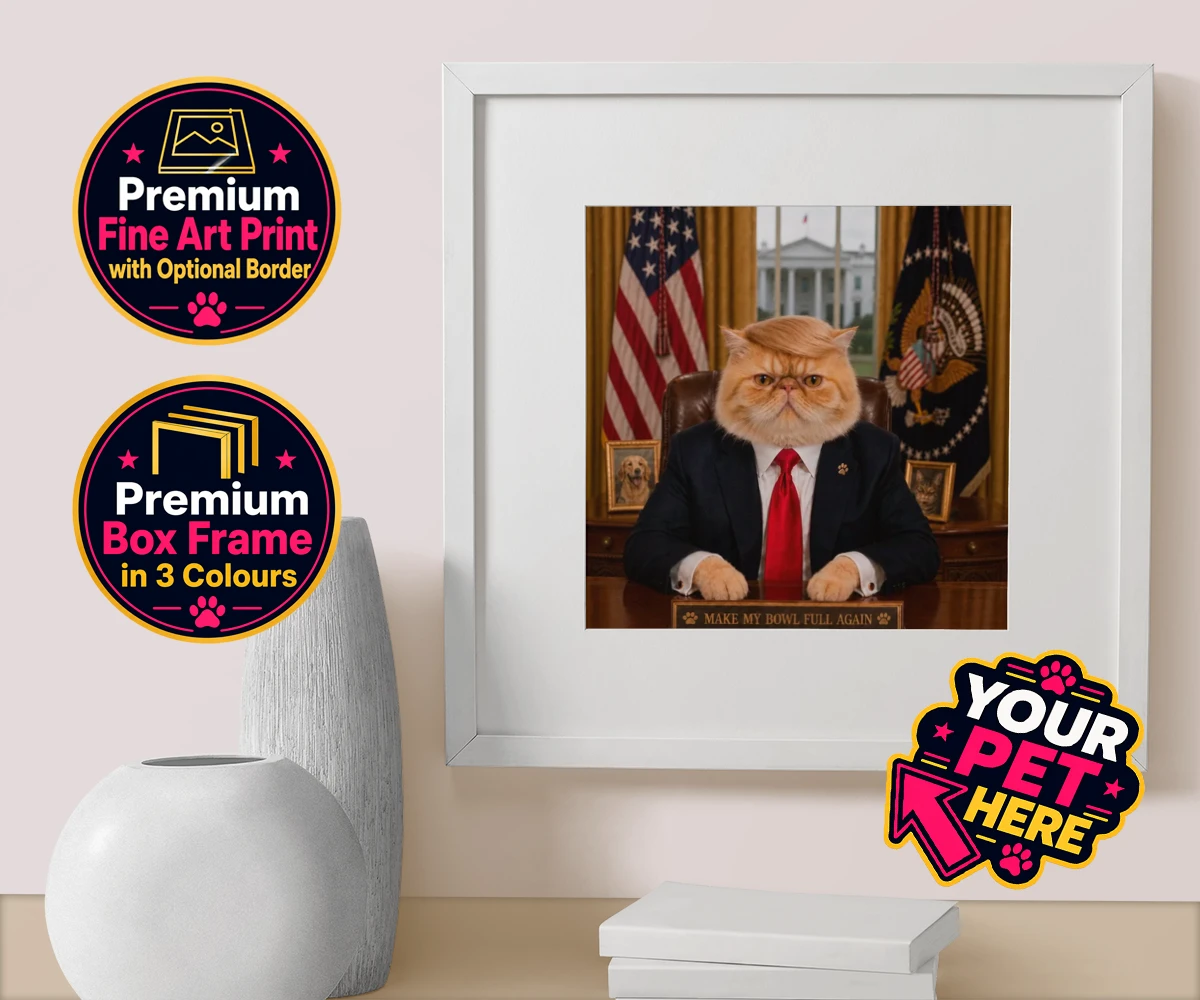 Personalised PAWTUS cat box framed print featuring the charismatic cat who’s ready to take charge!