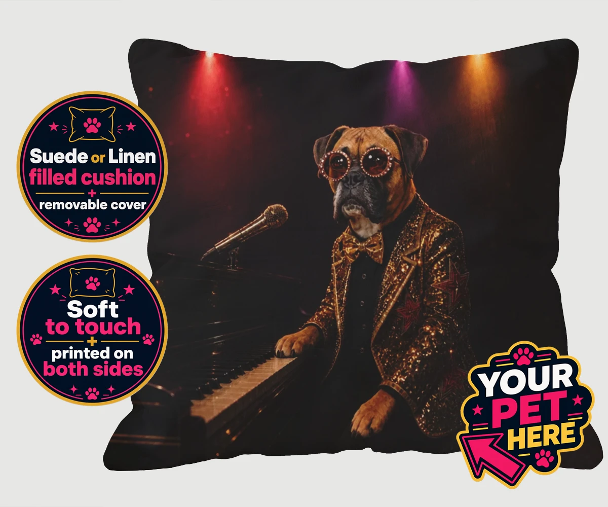 Personalised Rocket Dog dog cushions featuring our dazzling canine superstar!