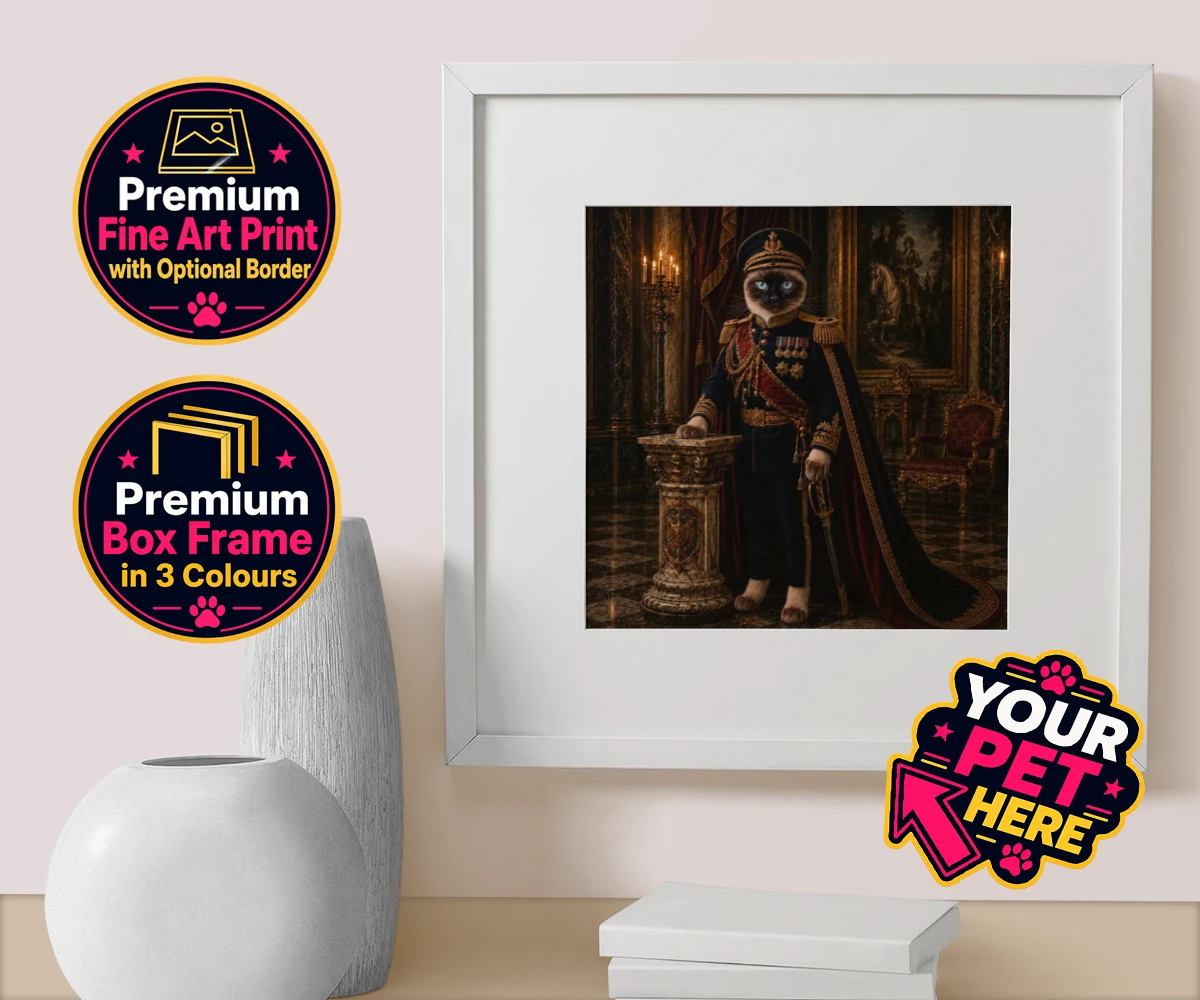 Personalised The Noble Admiral cat box framed print featuring meet The Noble Admiral, a splendid feline figure perfectly poised in a