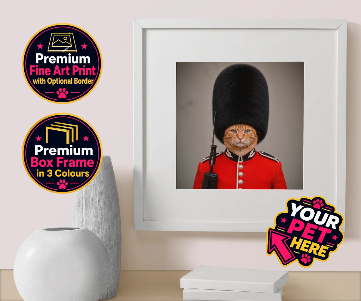 Personalised The Palace Paw Guard cat box framed print featuring a delightfully dapper feline ready to rule any household with regal ch