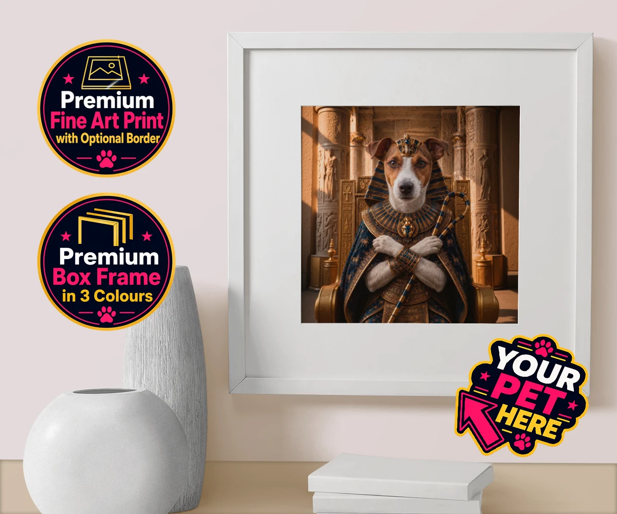 Personalised The Paw Pharaoh dog box framed print featuring meet The Paw Pharaoh, a regal canine character fit for royalty!