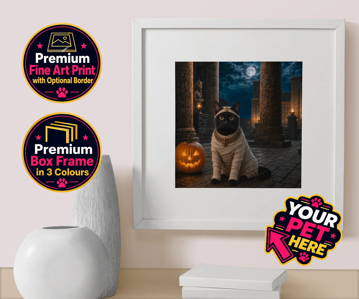 Personalised Mummy Paw cat box framed print featuring meet Mummy Paw, the purr-fect addition to your home this Halloween sea