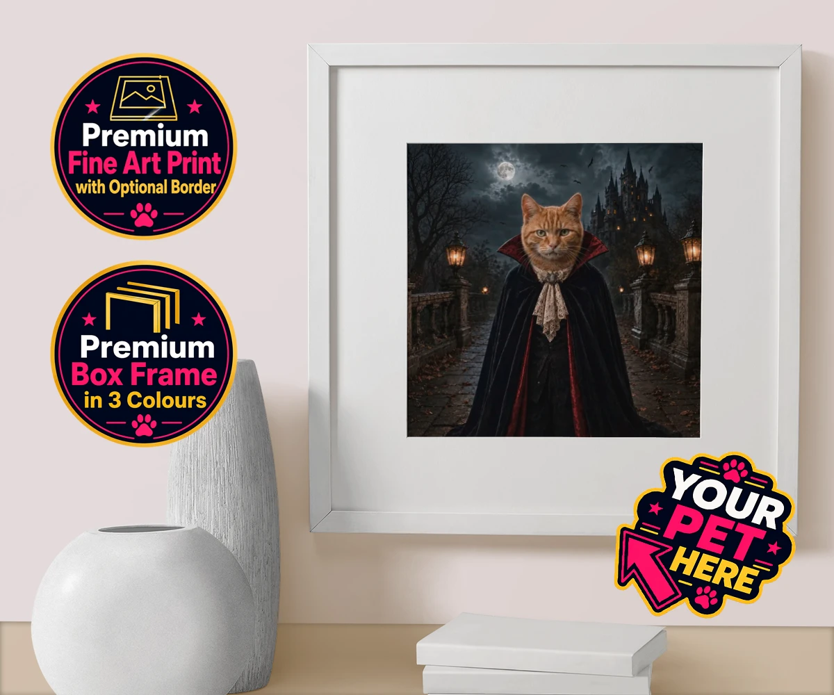 Personalised Dracula Paw cat box framed print featuring meet Dracula Paw, the purrr-fect blend of feline charm and gothic flai