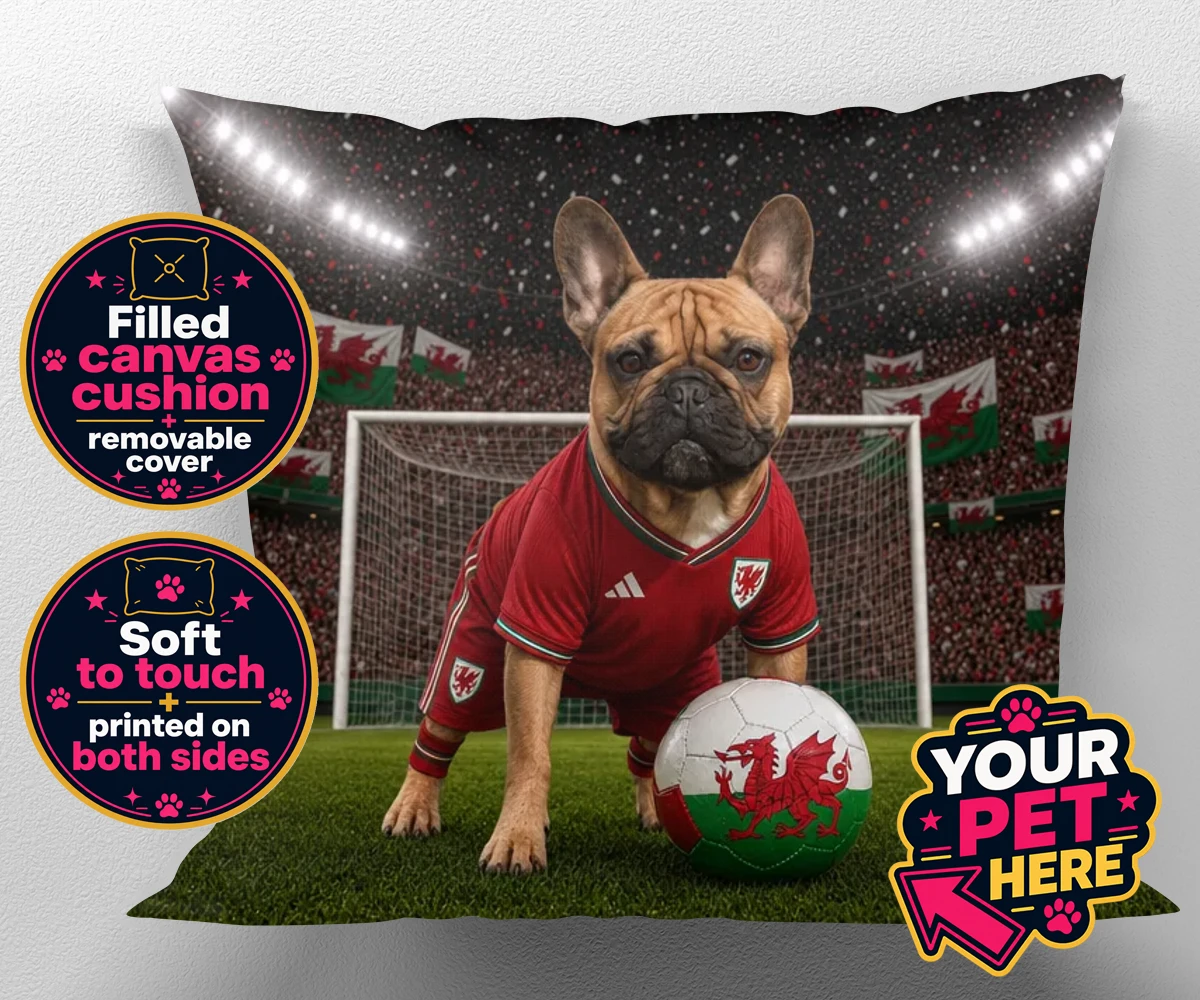 Personalised Wales Footballer dog canvas cushions featuring meet Wales Footballer, a delightful tribute to your beloved canine com