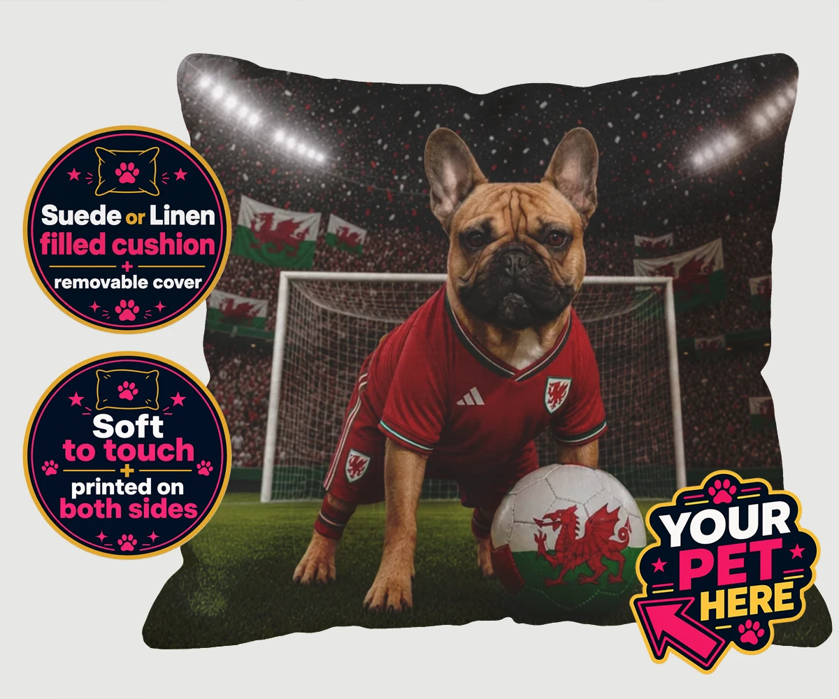 Personalised Wales Footballer dog cushions featuring meet Wales Footballer, a delightful tribute to your beloved canine com