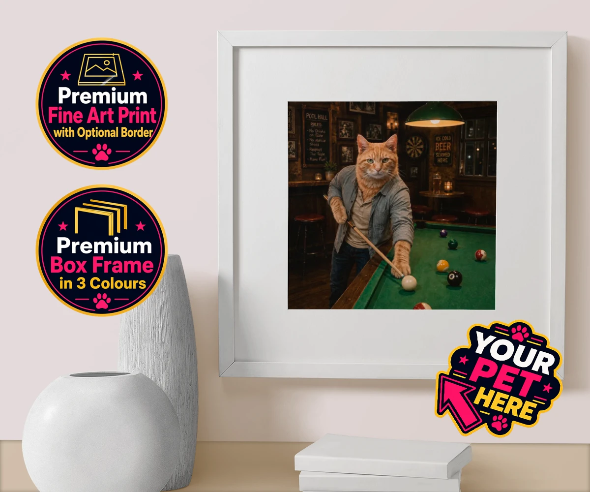 Personalised The Pool Hustler cat box framed print featuring meet The Pool Hustler, a vibrant tribute to your beloved feline's play