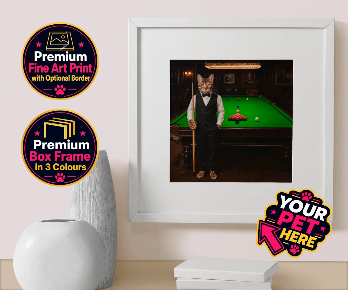 Personalised The Snooker Star cat box framed print featuring a delightful cat portrait that captures the spirit of your furry frien