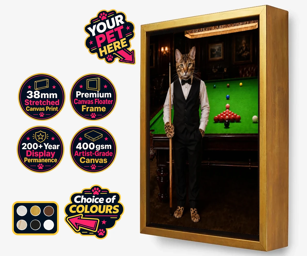 Personalised The Snooker Star cat framed canvas print featuring a delightful cat portrait that captures the spirit of your furry frien