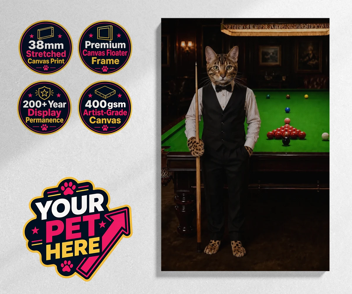 Personalised The Snooker Star cat stretched canvas print featuring a delightful cat portrait that captures the spirit of your furry frien