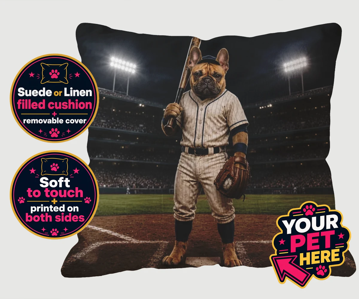 Personalised cushion featuring Baseball Paw Legend dog in striped baseball uniform with stadium backdrop