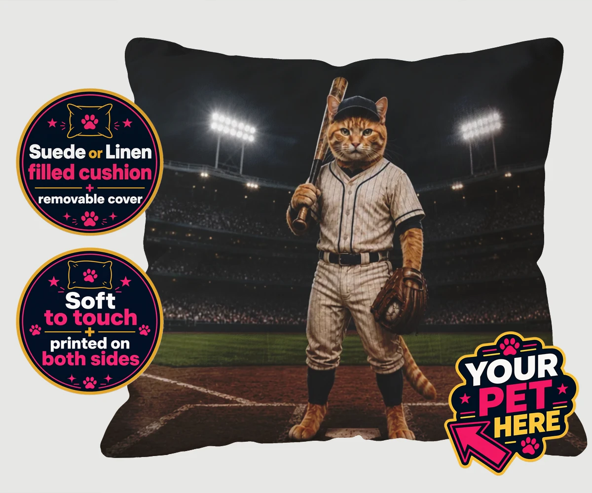 Personalised cushion featuring Baseball Paw Legend cat in baseball uniform at a stadium