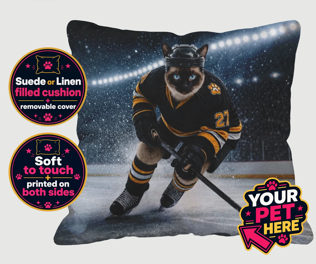Personalised Paws on Ice cat cushions featuring meet Paws on Ice, the feline star of the rink!