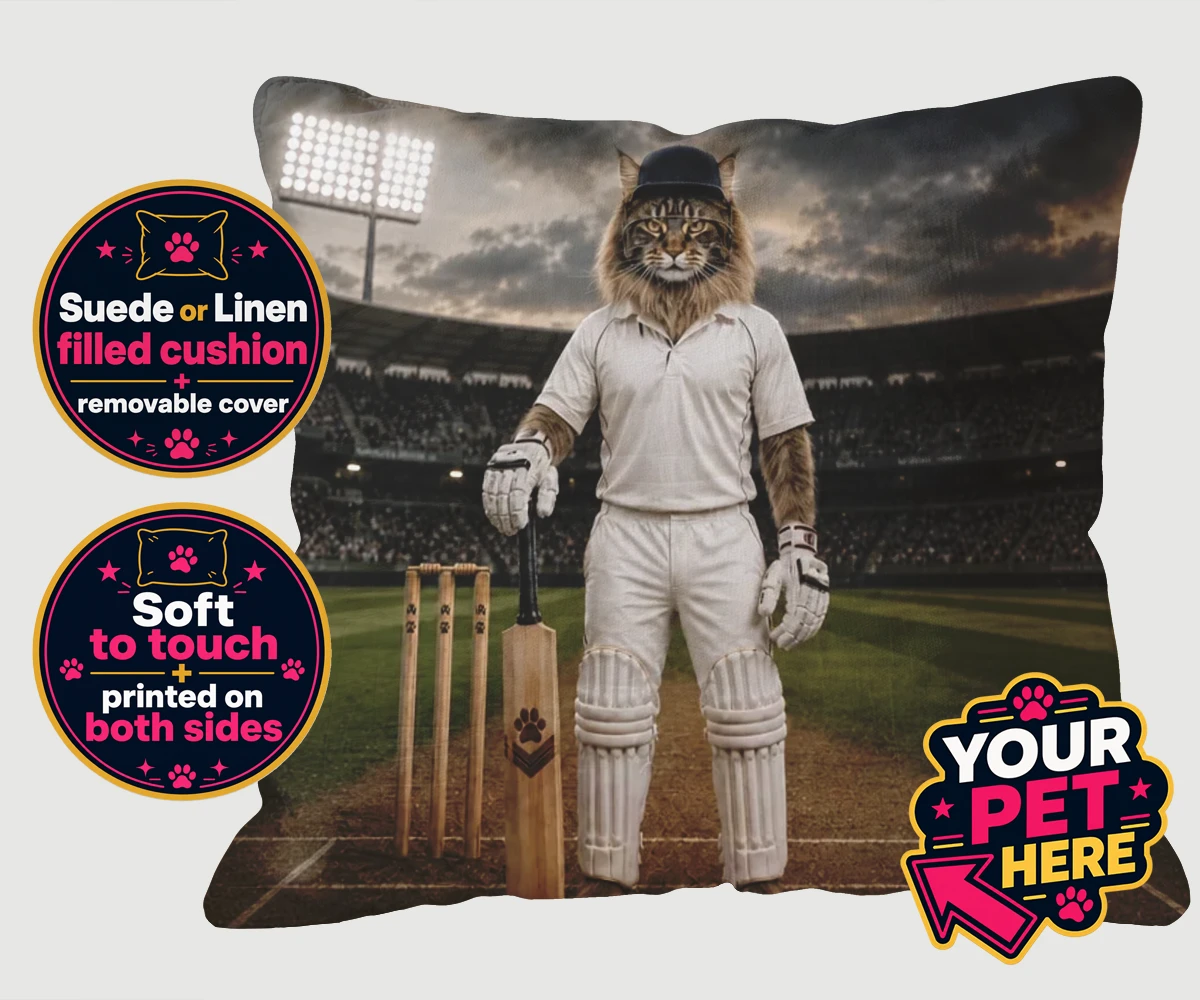 Personalised Cricket Paw cat cushions featuring meet Cricket Paw, the purr-fect fusion of feline charm and sporting sp
