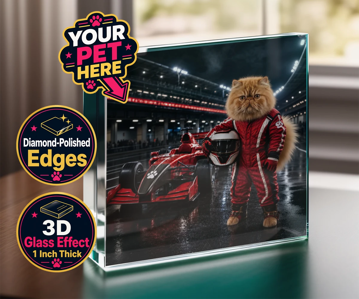 Personalised Paw Prix Racer cat acrylic prisms featuring the feline speedster ready to take your living space by storm!