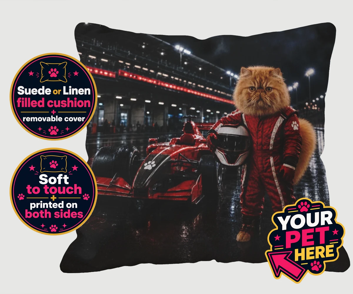 Personalised Paw Prix Racer cat cushions featuring the feline speedster ready to take your living space by storm!
