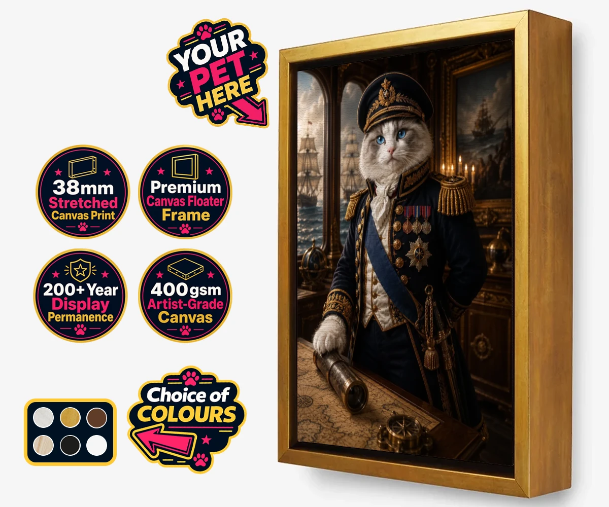 Personalised Royal Navy Admiral cat framed canvas print featuring meet the Royal Navy Admiral, a regal feline ready to commandeer your h